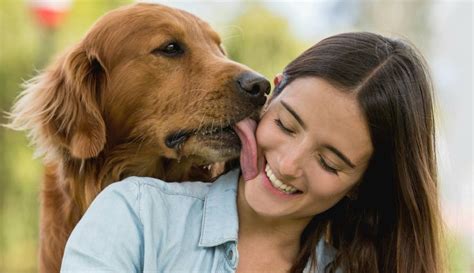 mujeres follando con perros|Perros follando a mujer zoofilia